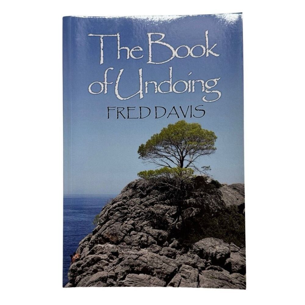 The Book Of Undoing by Fred Davis ( 2013, Paperback)